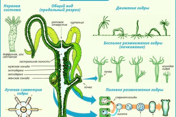 Почему не заходит на кракен