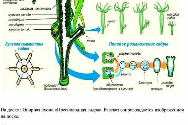 Кракен kr2web in