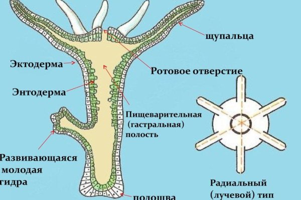 Кракен даркнет сайт на русском